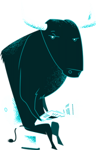 bull1